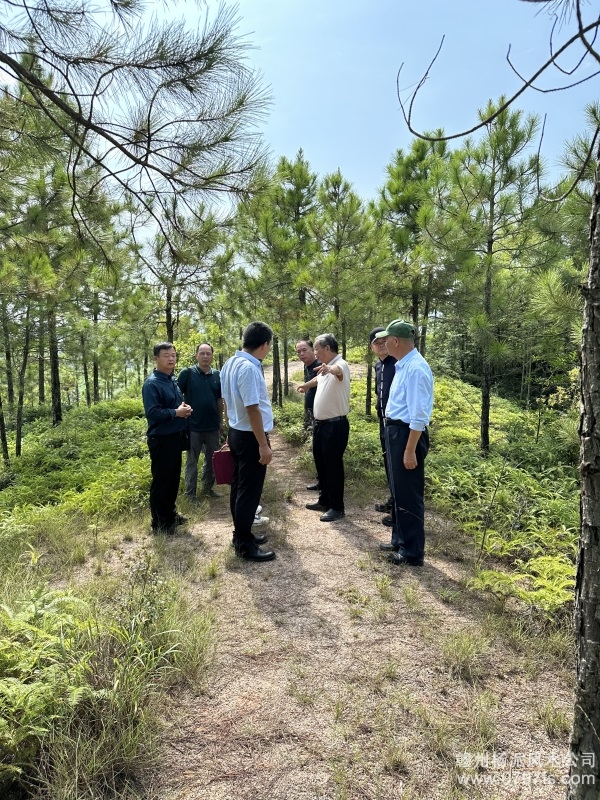 宜昌市学杨公风水跟陈荣昌老师实在